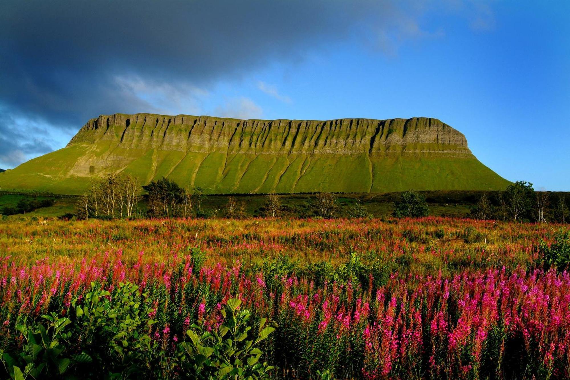 Central Sligo Townhouse エクステリア 写真